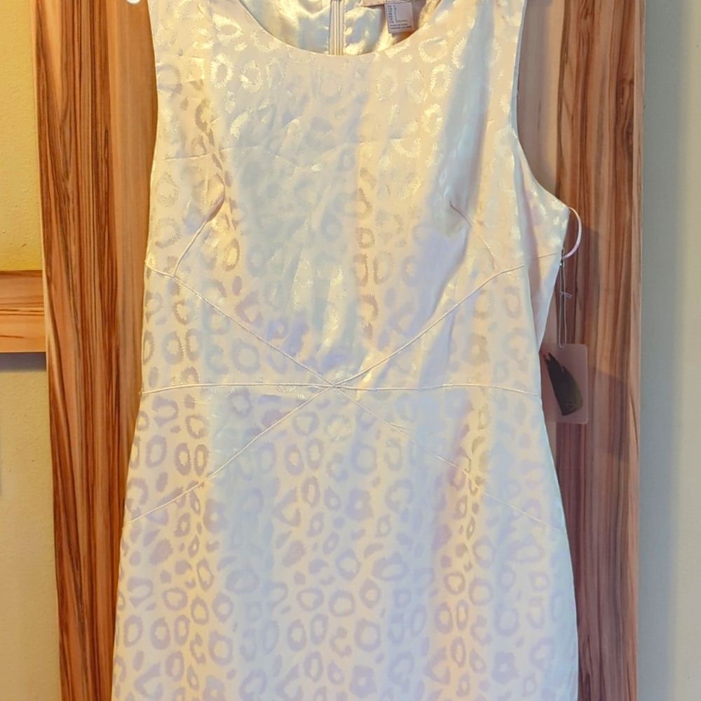 Forever 21 Silk Cheetah print dress